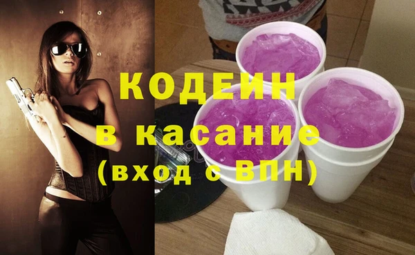 сатива Покачи