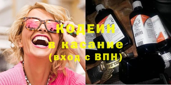сатива Покачи