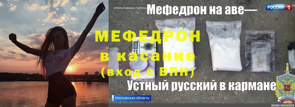 сатива Покачи
