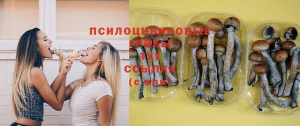 ешки Абаза