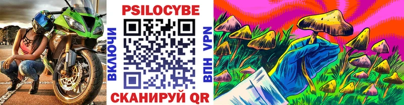 наркошоп  Холм  Галлюциногенные грибы Psilocybe 